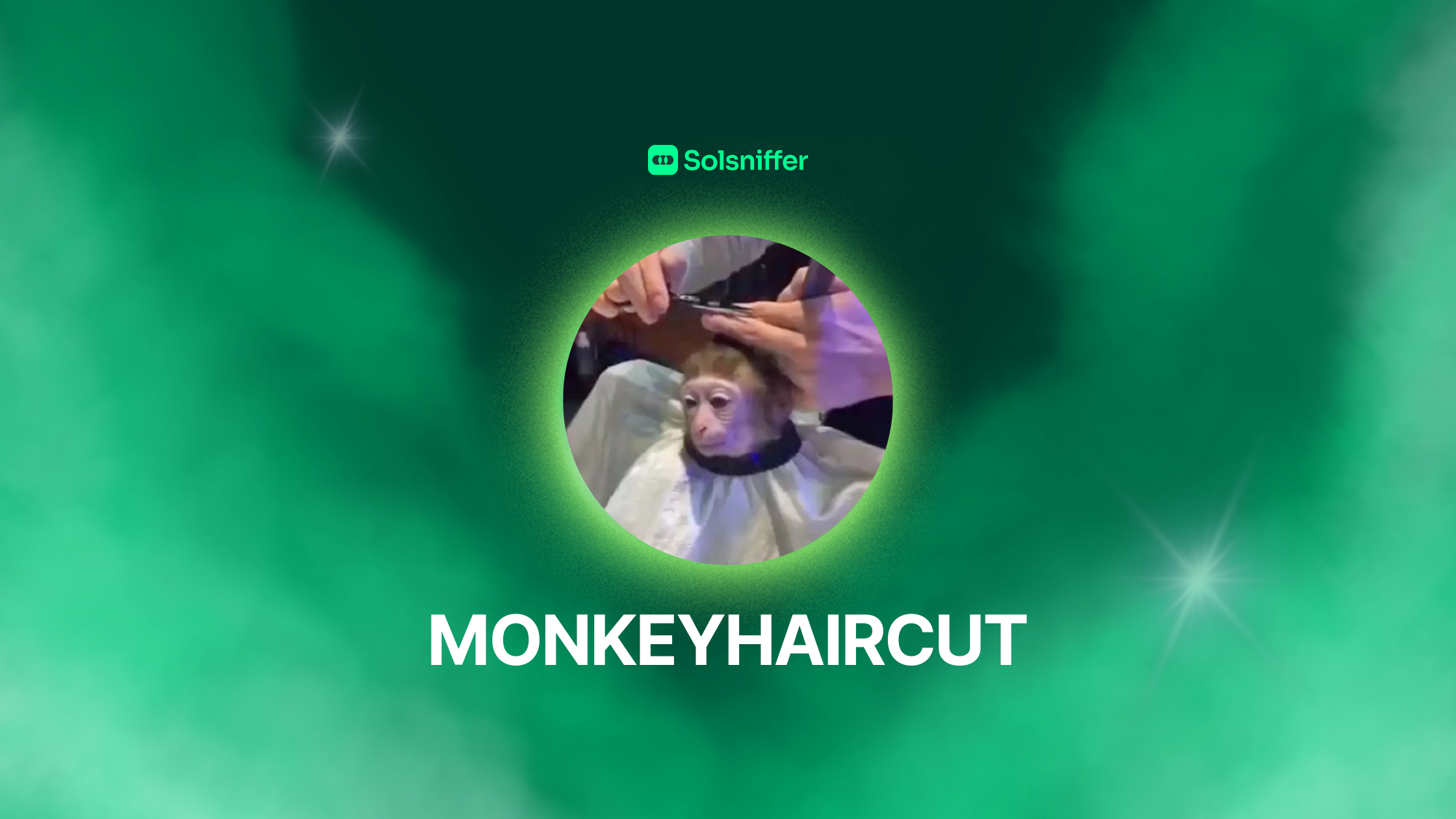 MONKEYHAIRCUT CRYPTO PROJECT